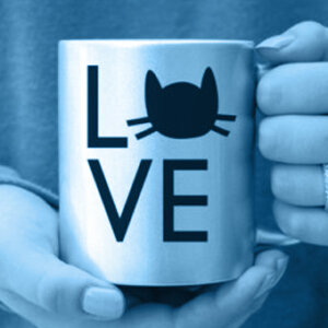 The Company That Cried “Innovation” and a Ridiculous Case Study That Has To Do With Cats